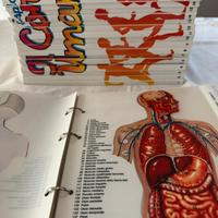 Esplorando il Corpo Umano DeAgostini