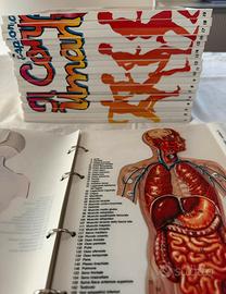 Esplorando il Corpo Umano DeAgostini