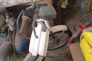 motorino bravo