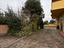 Immagine 3