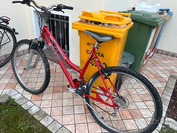 Bicicletta MountainBike Esperia