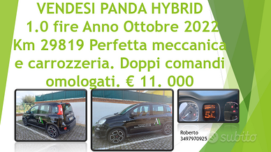 Panda hybrid doppi comandi NO CONCESSIONARI