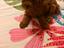 Immagine 5