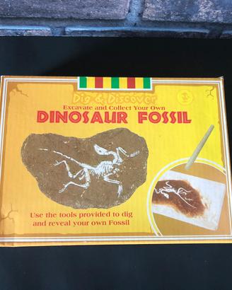 Gioco didattico scava il tuo fossile dinosauro
