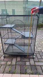 gabbia per criceti 