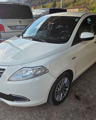 Lancia Ypsilon 1.3 MJT 16V 95 CV 5 porte S&S Plati