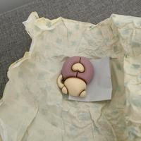 Coccinella Thun Bauli