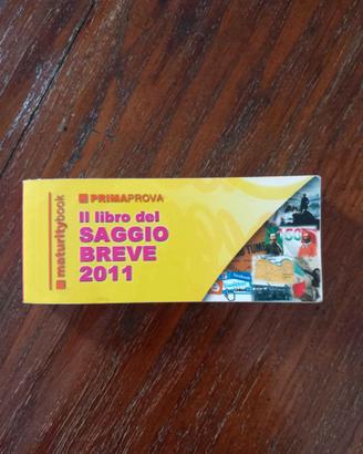 Libro del saggio breve
