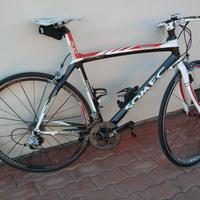 Bici da Corsa SOMEC Maestro in Carbonio (Taglia M)