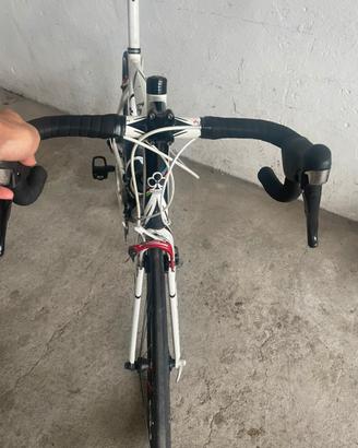 Colnago ace