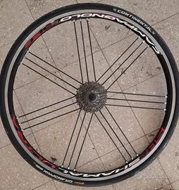 Ruota Posteriore Campagnolo Shamal Ultra