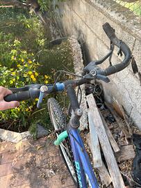 Bici da corsa