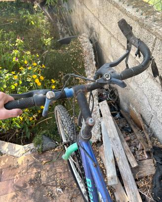 Bici da corsa