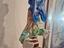 Immagine 2