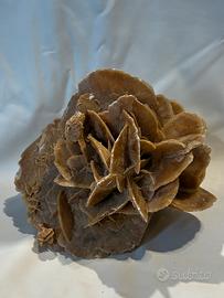 Rosa del deserto minerale naturale decorativo