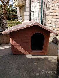 casetta per cani 