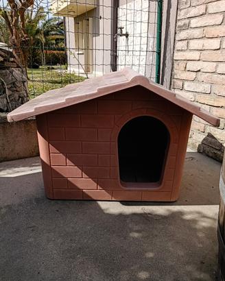 casetta per cani 