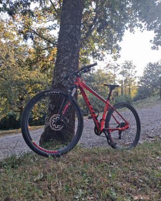 Mtb SCOTT