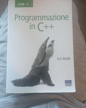 programmazione in c++ (d.s. malik)