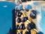 Immagine 5