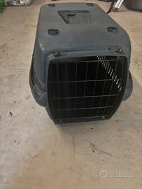 Trasportino per gatti