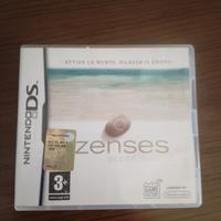 gioco  2 ds educativo