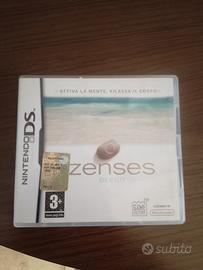 gioco  2 ds educativo