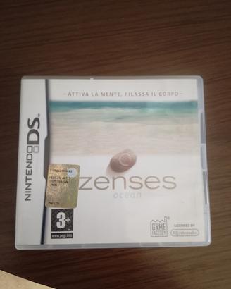 gioco  2 ds educativo