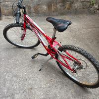 Mtb bimbo