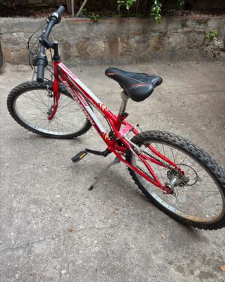 Mtb bimbo