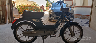 Disponibile Piaggio boxer