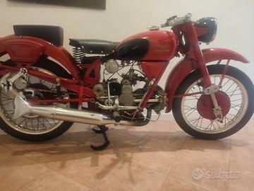 Moto Guzzi Altro modello - 1952