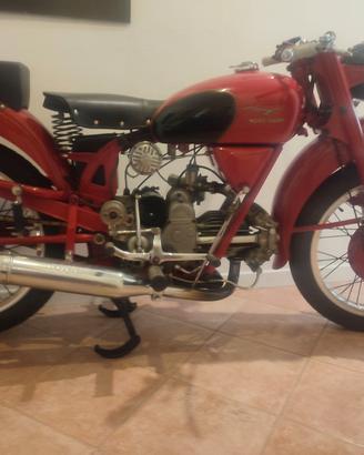Moto Guzzi Altro modello - 1952