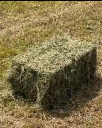 Ballette fieno 15kg