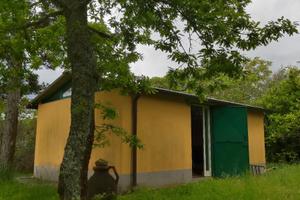 Rustico in Località San Severo, Arezzo