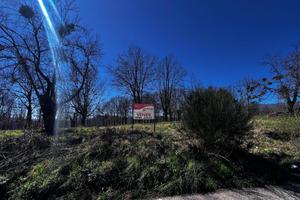 Terreno Residenziale Mangone [Cod. rif 3138208VCG]