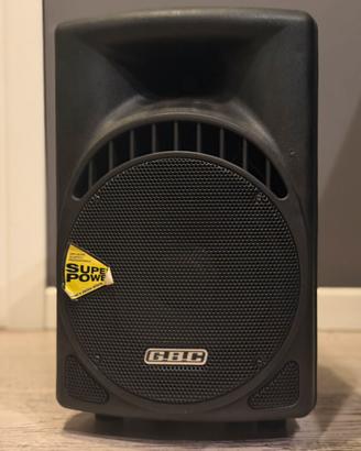 Cassa 100watt preamplificata