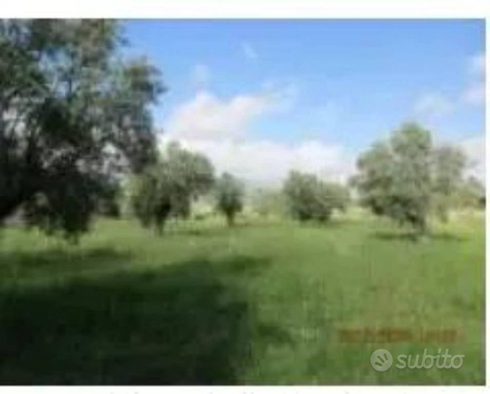 Immobile in asta di 1540 m² a Lamezia Terme - Vista 4