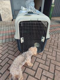Kennel per cani grandi