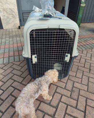 Kennel per cani grandi