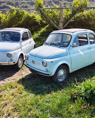 fiat.500.F. e 500.F/L