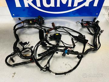 Impianto Elettrico Triumph Bonneville