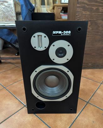 Pioneer HPM 300