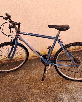 bici mountabike 