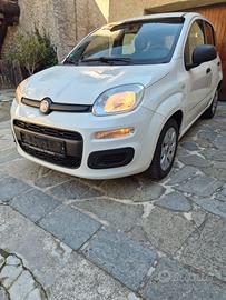 FIAT PANDA 1.2 BENZINA NEO PATENTATI