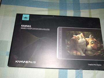 Kanvas pro 13