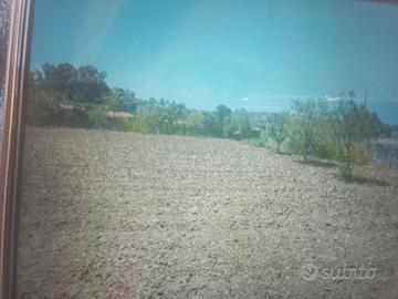 lotto di terreno