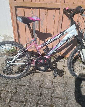 mtb Montana 20 pollici