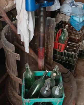Kit per fare il vino: torchio + 3 tini + damigiane