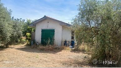 terreno agricolo con annesso agricolo 